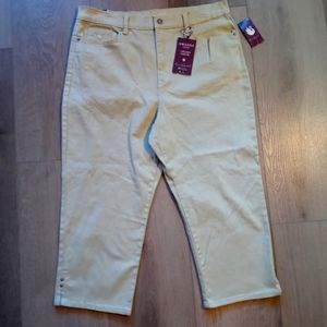 Gloria Vanderbilt pale green Amanda Capris